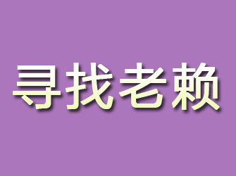 紫金寻找老赖